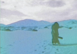 In Magic Mountain (Pt.1)&nbsp;by Leanna Kaiser