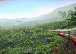 Tracks&nbsp;by&nbsp;Arne Körner