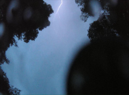 Rainby Vasilios Papaioannu