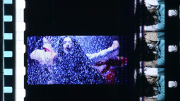 Cinegraffic Scoreby iloobia