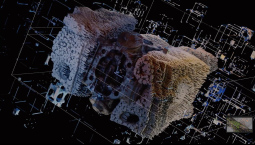 Distant Motilityby Edmar Soria